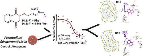 A dual In vitro and In silico approach to evaluate 1,4-naphthoquinone-1,2,3-triazole hybrids against atovaquone-resistant malaria