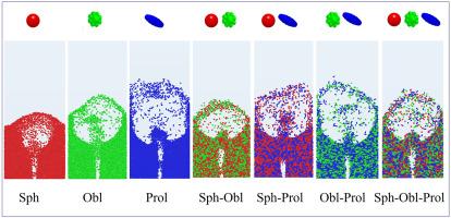 CFD-DEM investigation of fluidization of the non-monodisperse particle system in a spouted bed