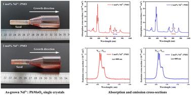 Growth and spectroscopic properties of Nd3+-doped PbMoO4 laser crystals