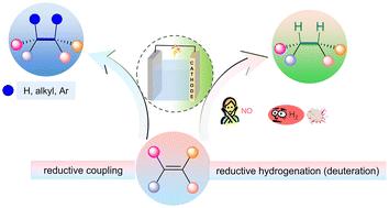 Organic-electrical reduction of carbon–carbon double bonds