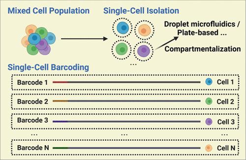 Next-Generation Barcoding for Single-Cell Omics