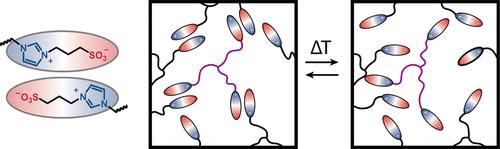 Multiresponsive Supramolecular Networks Bound through Strong Dipole–Dipole Interactions