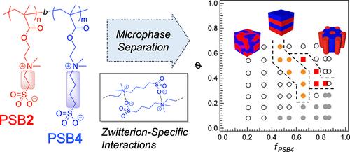Lyotropic Microphase Separation in Aqueous Solutions of Double Sulfobetaine Diblock Copolymers Induced by Charge Separation Length Mismatch