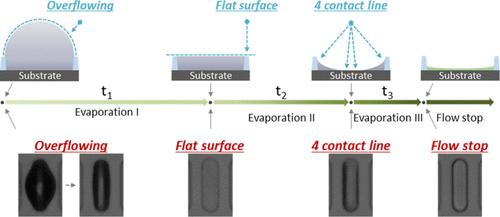Capillary Flow Control in Vacuum Drying for Uniform Pixel Thin Films in Inkjet-Printed OLEDs: Effects of Pumping Speed and Binary Solvent Ratios