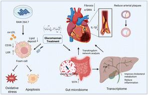 Aloe vera polysaccharides mitigate high-fat high-cholesterol diet-induced atherosclerosis in ApoE−/− mice via regulation of lipid metabolism and gut microbiota†