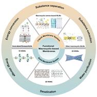 Macrocyclic membranes: from liquid to solid state