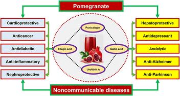 The therapeutic potential of pomegranate in the prevention and management of noncommunicable diseases