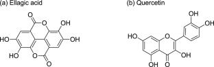 Enhancing the Dyeing and Color Fastness Properties of Cotton Fabric Dyed with Curcumin: A Sustainable Double Mordanting Approach Using Waste-Derived Biomordants