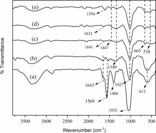 Enhanced Photocatalytic and Biological Properties of Cellulose Cotton Fabric Coated with Carboxyethyl Chitosan/Zinc Oxide Bio-nanocomposite