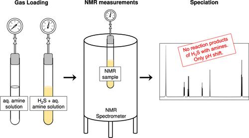 NMR Study on the Reactivity of Hydrogen Sulfide in Aqueous Amine Solutions