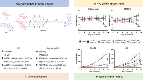 A Soluble Triantennary N-Acetylgalactosamine Camptothecin Prodrug for Hepatocellular Carcinoma-Targeted Therapy