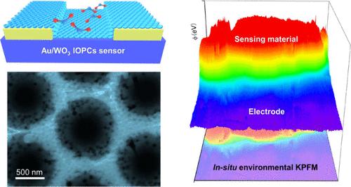 Operando Analysis of Hot Electron Dynamics and Schottky Barrier Modulation in Hierarchical Au/WO3 Inverse Opal Photonic Crystal Micro-Chip for Enhanced Gas Sensing