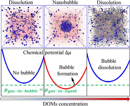 Simulation Evidence of Nanobubble Clusters of Gas in Water: A Nanoscale Solvation Mechanism