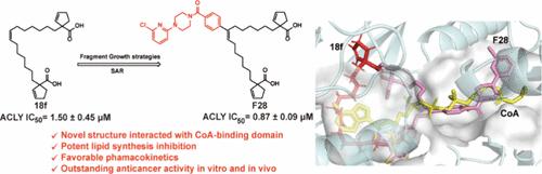 Discovery of Novel Tridentate Alkenyl Diacid Derivatives as Potent ATP Citrate Lyase Inhibitors for the Treatment of Hepatocellular Carcinoma