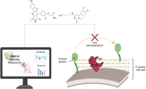 In Silico-Guided Discovery and In Vitro Evaluation of Natural Sortase A Inhibitors to Fight Multidrug-Resistant Staphylococcus aureus