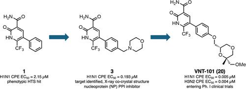 Discovery and Optimization of a Novel Series of Influenza A Virus Replication Inhibitors Targeting the Nucleoprotein Protein–Protein Interaction