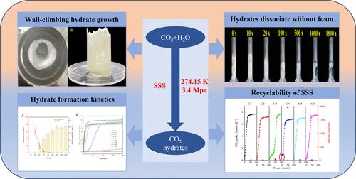 Sodium p-Styrenesulfonate as a Remarkable Kinetic Promoter for CO2 Hydrate Formation: Promotion Efficiency and Mechanism