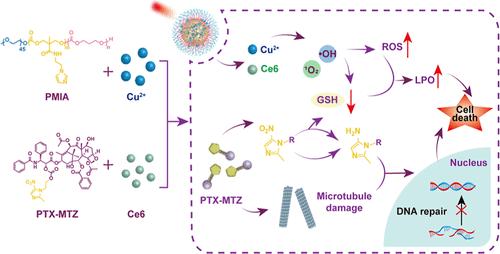 Engineering Nanomedicine with Oxidative Stress Amplification and Antioxidant Defense Disruption for Enhanced Cancer Treatment