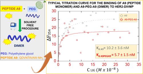 Solvent-Free procedure of an A9 Peptide Dimer Exhibiting Specific HER2 Receptor Binding: Fluorescence Spectroscopy Evaluation of the Enhanced Binding Affinity