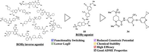A Concise and Modular Approach to Generate Novel RORγ Agonists