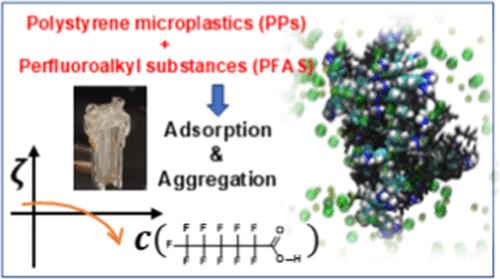 Adsorption Mechanism of a Perfluorinated Carboxylic Acid on Charged Polystyrene Surfaces in Aquatic Environment: A Combined Experimental and Computer Simulation Investigation