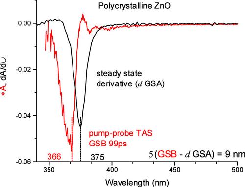 Charge Carrier Dynamics of Polycrystalline ZnO: Comparing Ground-State Bleaching to Ground-State Absorption