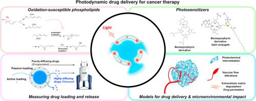 Photodynamic drug delivery for cancer therapy: Designing liposomes for light-controlled release and enhanced drug efficacy