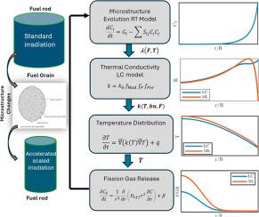 Implications of point defect accumulation on UO2 thermal conductivity and fission gas release under accelerated fuel irradiation