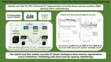 Hybrid deep learning enables multi-institutional delineation of active bone marrow for gynecologic radiotherapy