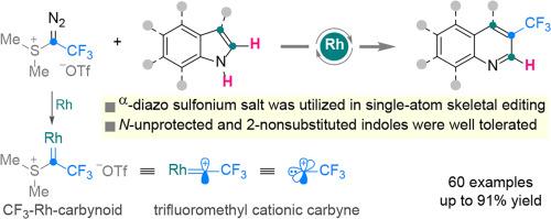 Indole-quinoline transmutation enabled by a formal rhodium carbynoid