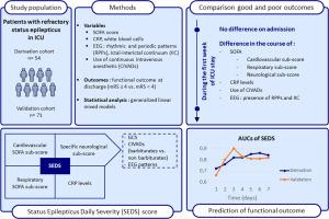 The SEDS score: A daily severity score for monitoring patients with refractory SE in the ICU