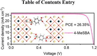 Molecular locking of defects via H-bonding/coordination dual-interaction enables efficient perovskite solar cells†