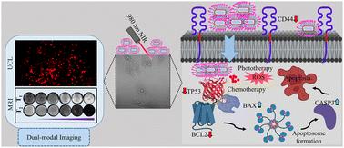 Opto-magnetic optimization enhances the multimodal therapeutic and diagnostic (UCL/T1–T2W MRI) potential of GdOF against MDA-MB-231†