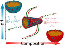 Fine tuning the morphology of peptide amphiphile nanostructures via co-assembly†