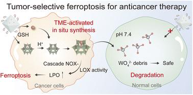 Mimicking NADPH oxidase and lipoxygenase by using a biodegradable single-site catalyst via a cascade reaction to trigger tumor-specific ferroptosis†