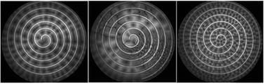 Oxygen deficiency drives drastic pattern transition in algal bioconvection†
