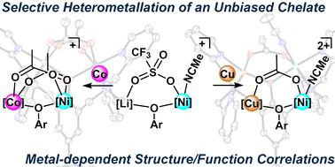 Synthesis and electronic structure elucidation of bioinspired heterobimetallic nickel complexes†