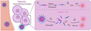 A redox-responsive NIR fluorescent nanoprobe for tumor microenvironment-activated surgical navigation with submillimeter precision†