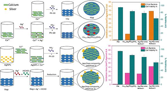 Balancing antibacterial activity and toxicity in silver-loaded hydroxyapatite: the impact of the silver nanoparticle incorporation method