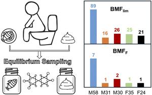 Do human individuals differ in their potential for lipophilic contaminant biomagnification?†