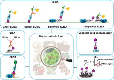 Nanobodies in Immunoanalysis: From Molecular Engineering to Advanced Detection Strategies for Foodborne Natural Toxins