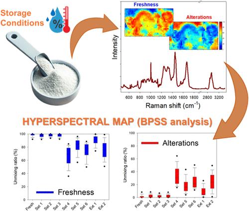Investigating the Biochemical and Structural Evolution of Whey Protein Concentrate Powders Under Storage: Insights from Raman Spectroscopy