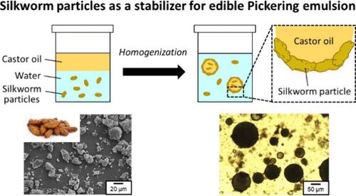 Edible Pickering Emulsion Stabilized with Silkworm Particles