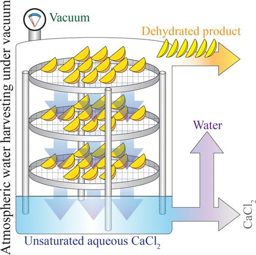 Dehydration of Mango and Apple through Atmospheric Water Harvesting under Vacuum