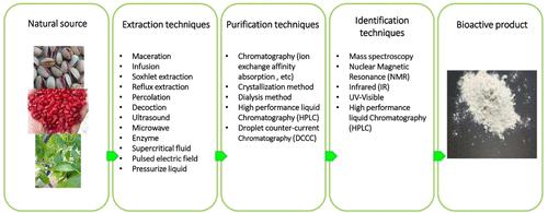 A Methodological Review of Extraction, Purification, and Identification Techniques for Natural Bioactive Compounds