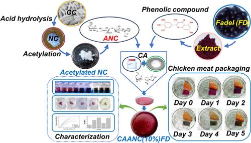 Self-Synthesized Acetylated Nanocellulose and Syzygium cumini (L.) Skeels (Fadel) Fruit Extract-Incorporated Hydrophobic and Intelligent Film for Chicken Meat Freshness Monitoring