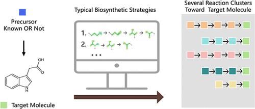 RxnCluster: A Web-Based Tool for Exploring Reaction Clusters Leading to Target Molecules by Digitalizing Typical Biosynthetic Patterns