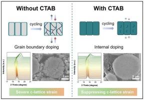 Incorporation of high-valence dopants in primary particles for strain-resistive Co-free high-Ni LiNi0.9Mn0.1O2 cathodes