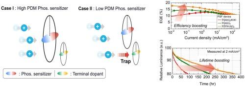 High-permanent dipole moment sensitizers as key to anticharge trapping of terminal dopant in highly efficient phosphor-sensitized fluorescence systems