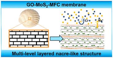Nacre-inspired 2D ion-selective membranes for enhanced osmotic power generation toward industrial scale†